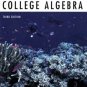 Explorations in College Algebra 2nd Ed. by Linda Almgren Kime 0471465763