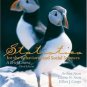 Statistics for the Behavioral and Social Sciences: A Brief course 3rd Ed by Arthur Aron 0131505084