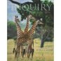 Inquiry Into Life 11th edition by Sylvia S. Mader 0072421975