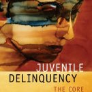 Juvenile Delinquency The Core 3rd Ed. by Larry J. Siegel 0495095427