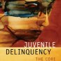 Juvenile Delinquency The Core 3rd Ed. by Larry J. Siegel 0495095427