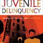 Juvenile Delinquency Theory, Practice, and Law 9th Ed by Larry J. Siegel 0534645666