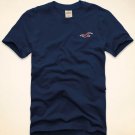 Hoillister Men's Rocky Point T-Shirt - M