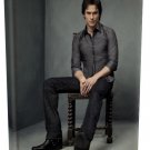 Vampire Diaries Damon Salvatore (1) Canvas Print 20 x 24 (Print Run Limited to 50)