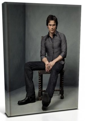 Vampire Diaries Damon Salvatore (1) Canvas Print 20 x 24 (Print Run Limited to 50)