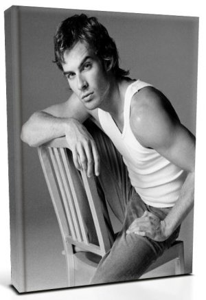 Vampire Diaries Damon Salvatore (3) Canvas Print 20 x 24 (Print Run Limited to 50)