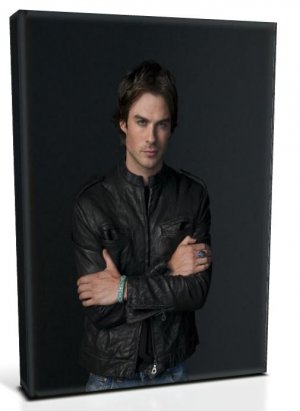 Vampire Diaries Damon Salvatore (4) Canvas Print 20 x 24 (Print Run Limited to 50)