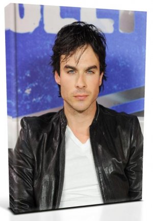 Vampire Diaries Damon Salvatore (5) Canvas Print 20 x 24 (Print Run Limited to 50)