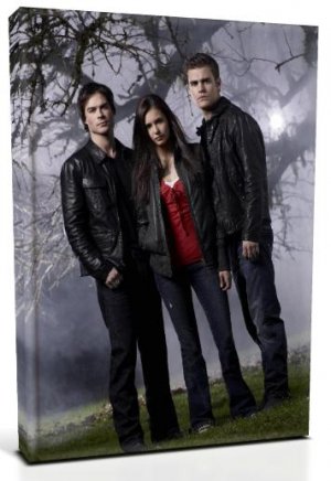 Vampire Diaries Main Characters (6) Canvas Print 20 x 24 (Print Run Limited to 50)
