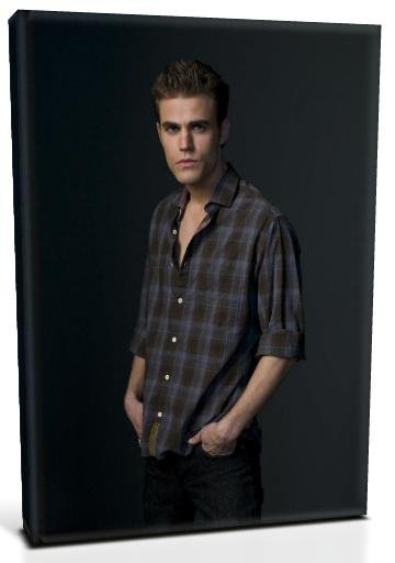 Vampire Diaries Stefan Salvatore (9) Canvas Print 12 x 16 (Print Run Limited to 50)