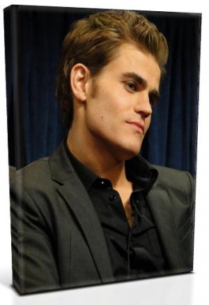 Vampire Diaries Stefan Salvatore (11) Canvas Print 12 x 16 (Print Run Limited to 50)