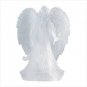 Colorful Frosted Angel