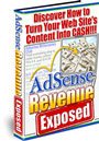 Adsense Revenue Exposed ebook