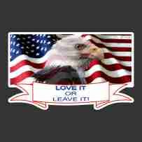 "Love It or Leave IT" w/Eagle on Flag Decal