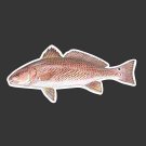 Redfish / Red Drum Fishing Decal