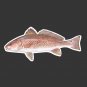 Redfish / Red Drum Fishing Decal