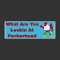 Funny, Rooster Decal for windows or bumpers.