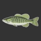Smallmouth Bass Decal
