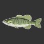 Smallmouth Bass Decal