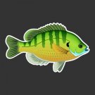 Bluegill, Bream, Panfish Fishing Decal