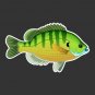 Bluegill, Bream, Panfish Fishing Decal