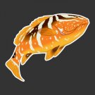 Grouper Fishing Decal