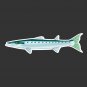 Barracuda Fishing Decal