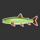 Lake Trout Fishing Decal
