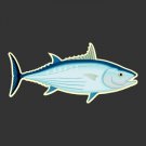 Skipjack