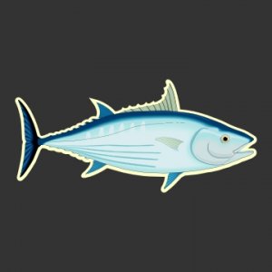 Skipjack