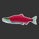 Sockeye Salmon Fishing Decal