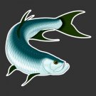 Tarpon Fishing Decal