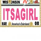 30 WISCONSIN License Plate GIRL Baby Shower Candy Bar Wrappers Hershey's Nugget Labels Party Favors