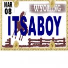 30 WYOMING License Plate BOY Baby Shower Candy Bar Wrappers Hershey's Nugget Labels Party Favors