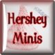 2: Hershey Miniature Wrappers