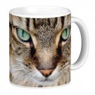 Green Eyed Cat Kitten Pet Photo Gift Coffee Mug Cup