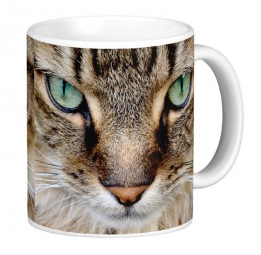 Green Eyed Cat Kitten Pet Photo Gift Coffee Mug Cup