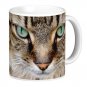 Green Eyed Cat Kitten Pet Photo Gift Coffee Mug Cup
