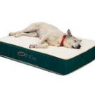 sleeping bed