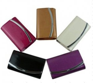 camera case bag for Canon  IXUS110 IXUSi7  IXUS60 IXUS120  IXUS200 IXUS300