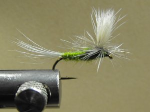 Parachute Blue Wing Olive