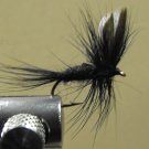 Black Gnat
