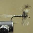 Mosquito