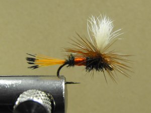 Royal Coachman Parachute