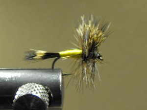 Wulff, Yellow
