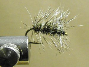 Griffith Gnat