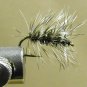 Griffith Gnat