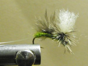 Drake May Fly Parachute, Emerger, Olive