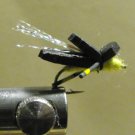 Foam Bumble Bee
