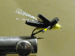Foam Bumble Bee